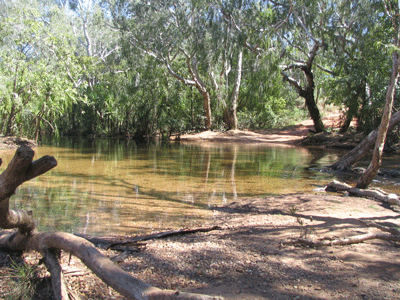 Nice Creek Nice Creek